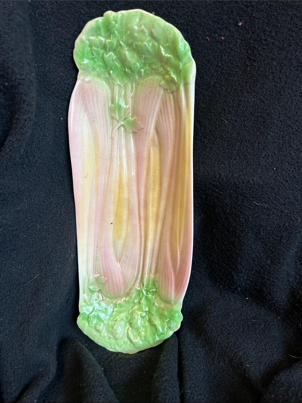 Ceramic Celery Serving Platter in Green and Pink